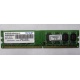 Модуль оперативной памяти 4Gb DDR2 Patriot PSD24G8002 pc-6400 (800MHz)  (Братск)