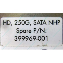 HP 250G 7.2k 432337-001/ 399699-001 / 397377-004 SATA HDD (Братск)