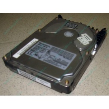 Жесткий диск 18.4Gb Quantum Atlas 10K III U160 SCSI 80 pin (Братск)