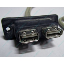USB-разъемы HP 451784-001 (459184-001) для корпуса HP 5U tower (Братск)