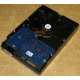 Электроника HDD 500Gb Hitachi HDS721050DLE630 (Братск)