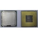 Процессор Intel Celeron D 336 (2.8GHz /256kb /533MHz) SL98W s.775 (Братск)