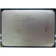 AMD Opteron 6128 OS6128WKT8EGO (Братск)